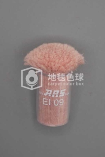 ARS EI09