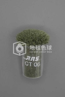 ARS CT06