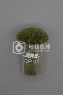 ARS CP01