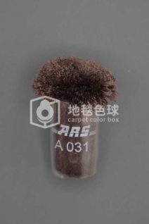 ARS A031