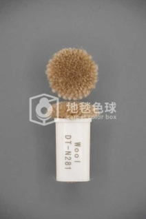 DT N281