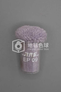 ARS EP09