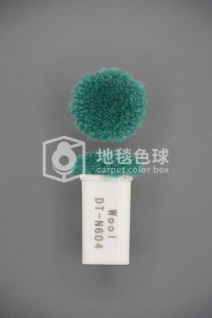 DT N604