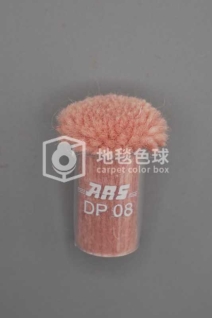 ARS DP08