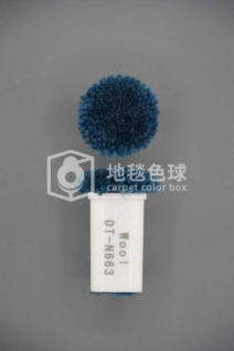 DT N663
