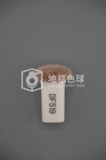 DF519