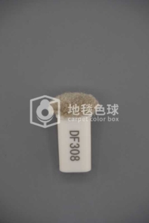 DF308