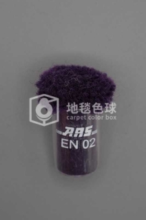 ARS EN02