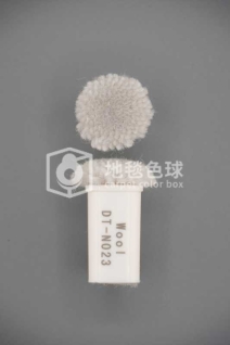 DT N023