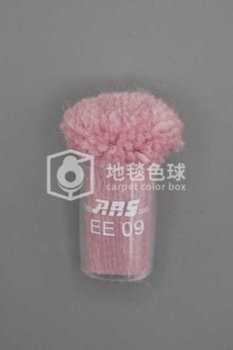ARS EE09