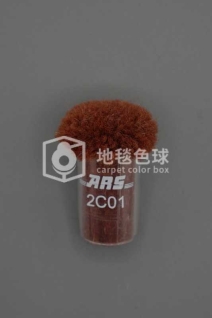 ARS 2C01