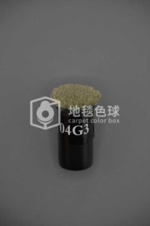 04G3