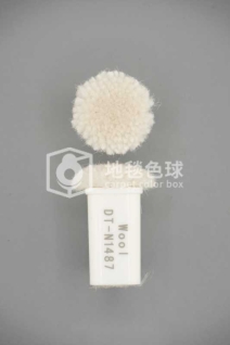 DT N1487
