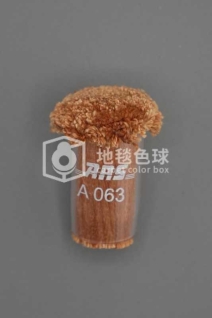 ARS A063