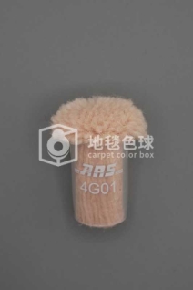 ARS 4G01