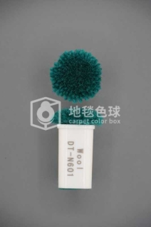 DT N601