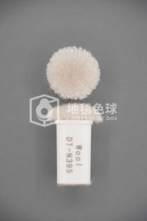 DT N395