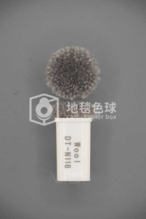 DT N118