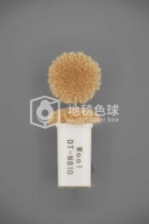 DT N810