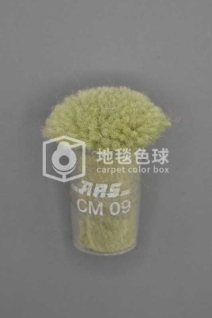 ARS CM09
