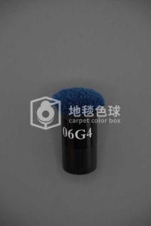 06G4