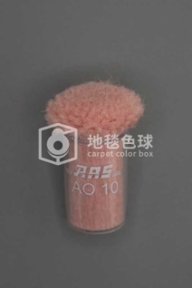 ARS AO10