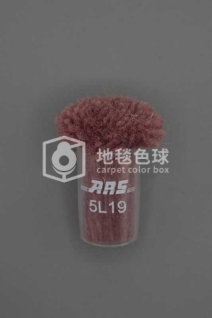 ARS 5L19