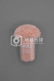ARS 5G02