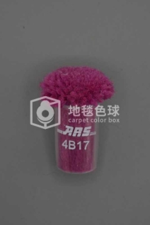 ARS 4B17