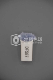 DF587