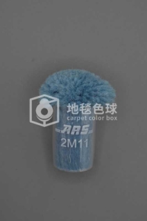 ARS 2M11