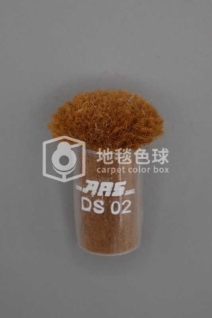 ARS DS02