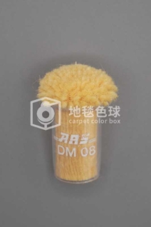 ARS DM08