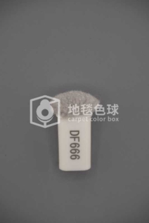 DF666