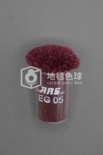 ARS EG05