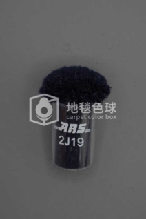 ARS 2J19