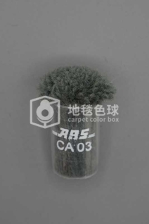 ARS CA03