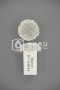 DT N1043
