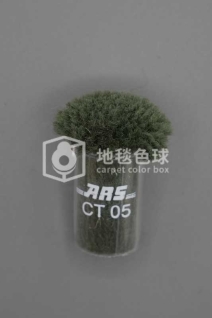 ARS CT05