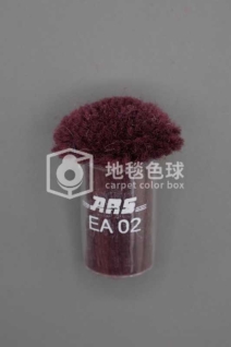 ARS EA02