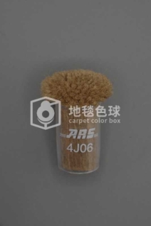 ARS 4J06