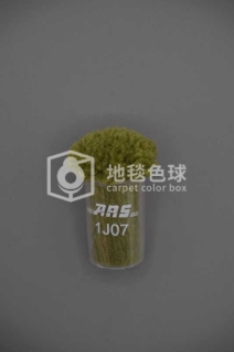 ARS 1J07