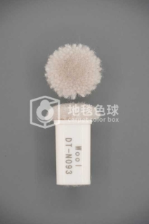 DT N093