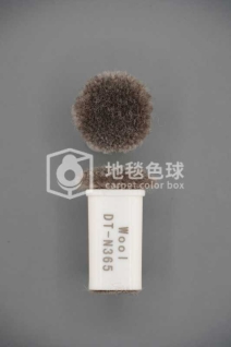 DT N365
