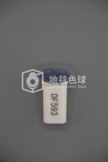 DF593