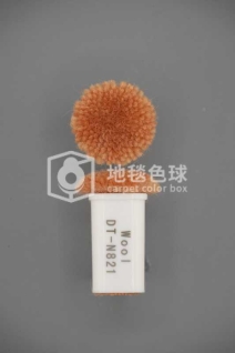 DT N821