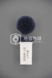 DT N409