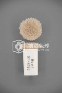 DT N180