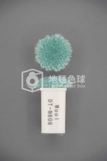 DT N606