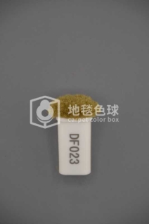 DF023